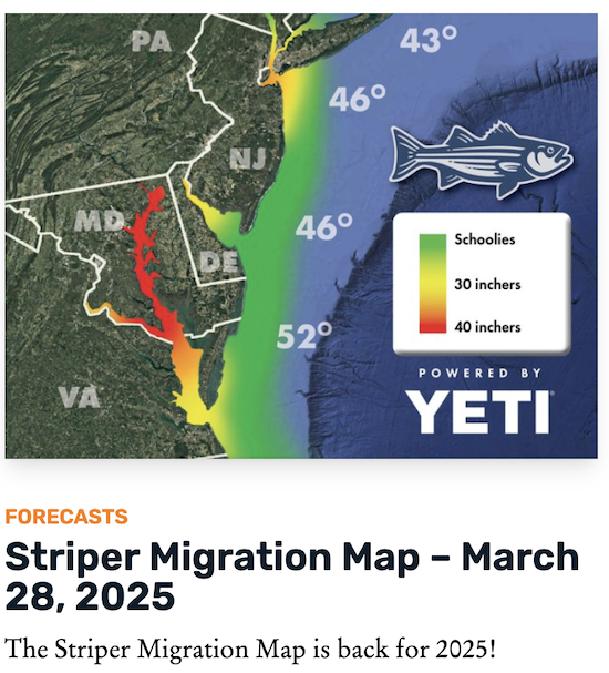 Striper Migration Map credit to On the Water Magazine
